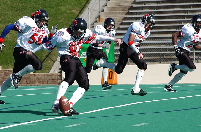 发扬光大的 发扬光大的