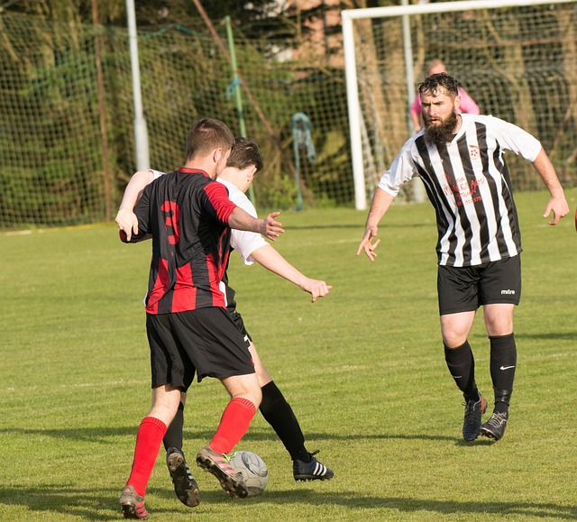 关注的NB 关注的NB