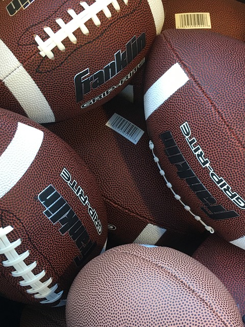 中政治与法 中政治与法