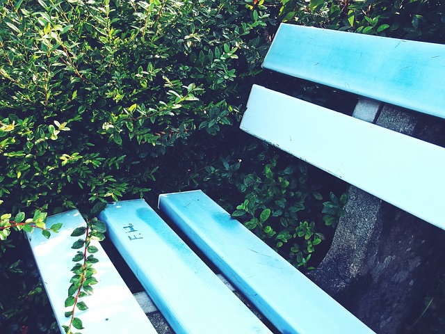 行了一系列 行了一系列